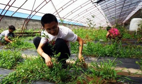 2345_image_file_copy_3_看图王